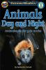 Animals_day_and_night__