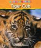 Tiger_cub