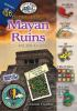 The_mystery_at_the_Maya_ruins