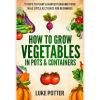 How_to_grow_vegetables_in_pots___containers