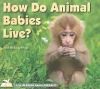 How_do_animal_babies_live_