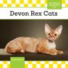 Devon_Rex_cats