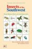 Learning_about___living_with_insects_of_the_Southwest