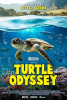Turtle_odyssey