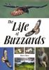The_life_of_buzzards