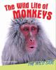The_wild_life_of_monkeys