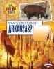 What_s_great_about_Arkansas_