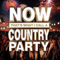 NOW__that_s_what_I_call_a_country_party