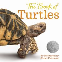 The_book_of_turtles