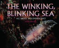 The_winking__blinking_sea