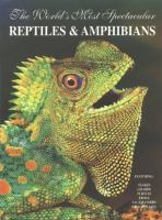 The_world_s_most_spectacular_reptiles___amphibians