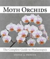 Moth_orchids