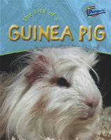 The_life_of_a_guinea_pig