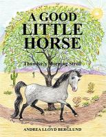 A_good_little_horse