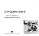 How_kittens_grow