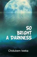 So_bright_a_darkness
