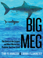 Big_Meg