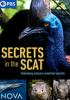 Secrets_in_the_scat