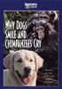Why_dogs_smile___chimpanzees_cry